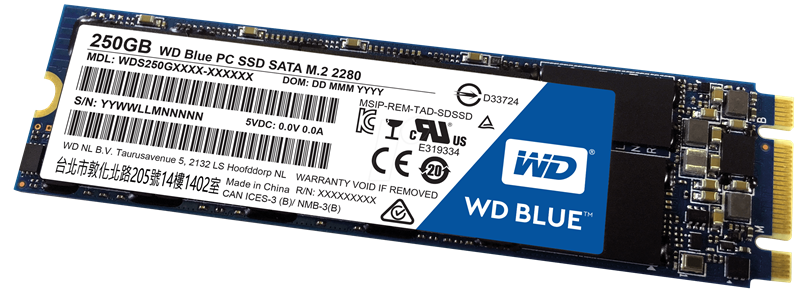 SSD WD 250GB Blue SATA III M.2 2280 Internal (WDS250G2B0B)  